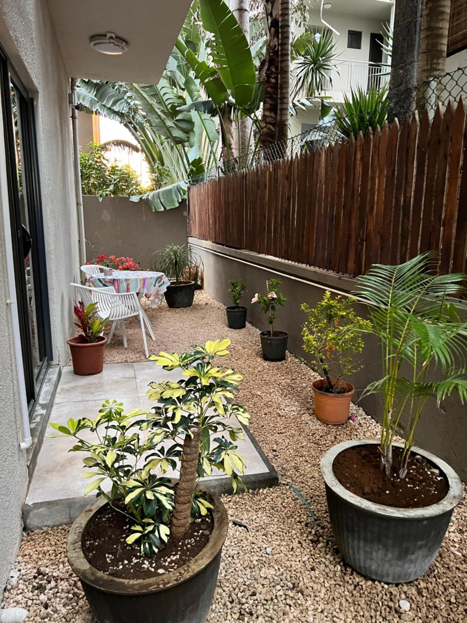 Newly Renovated Studio Apartment With Rooftop Pool, Few Steps To The Beach Flic-en-Flacq Exteriér fotografie
